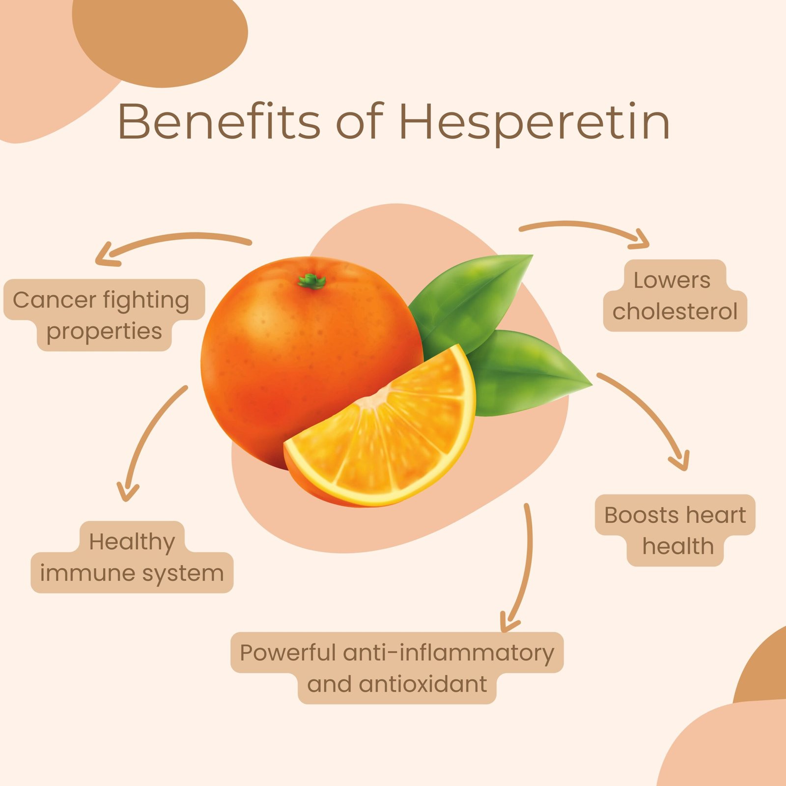 GlucoRegulate - Image 7