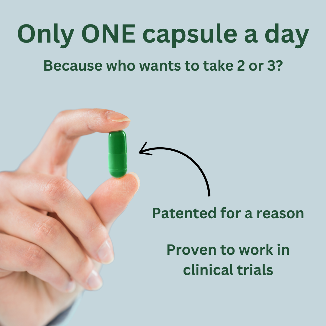 GlucoRegulate - Image 2