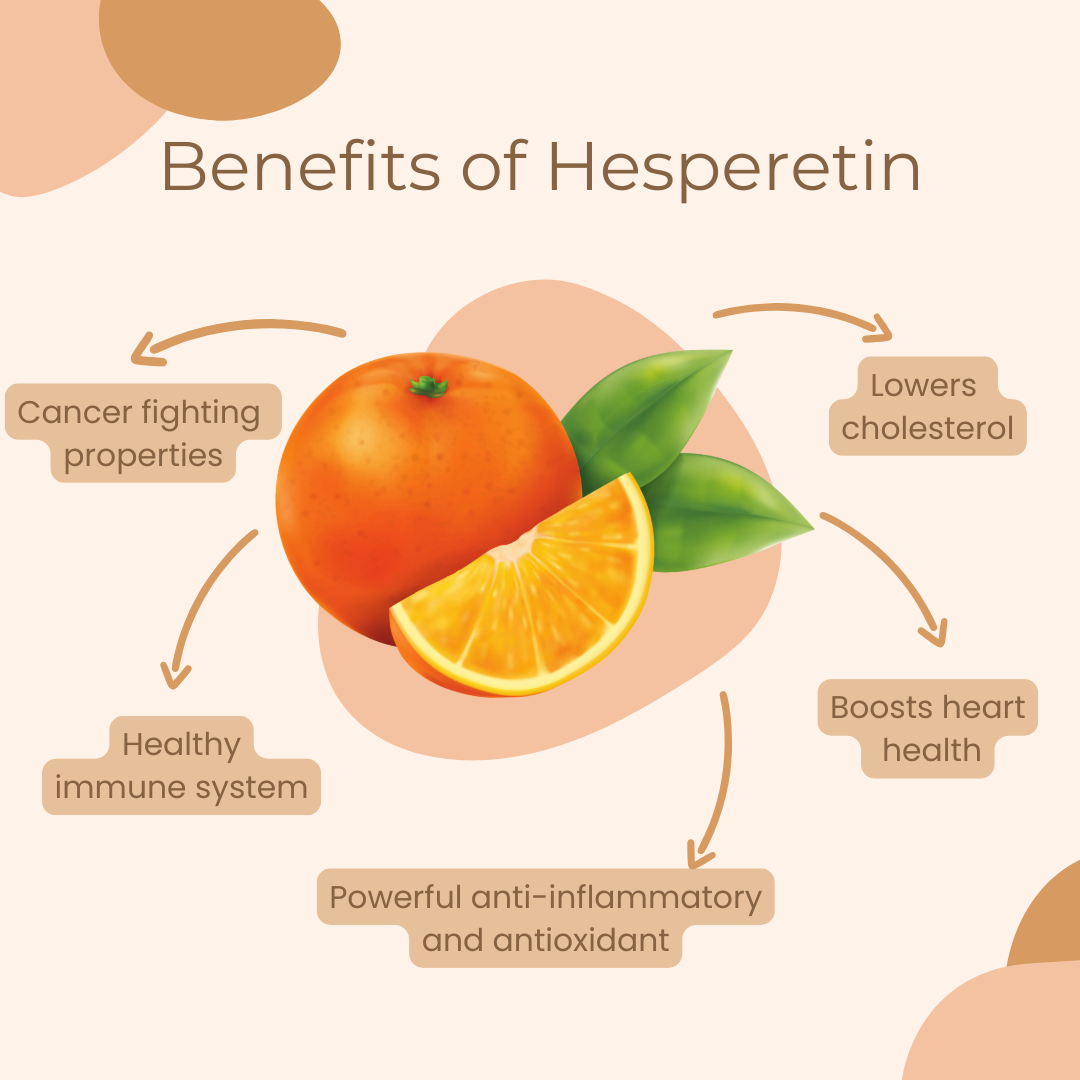 GlucoRegulate - Image 5